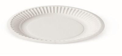 9_inch_plate_white_scale